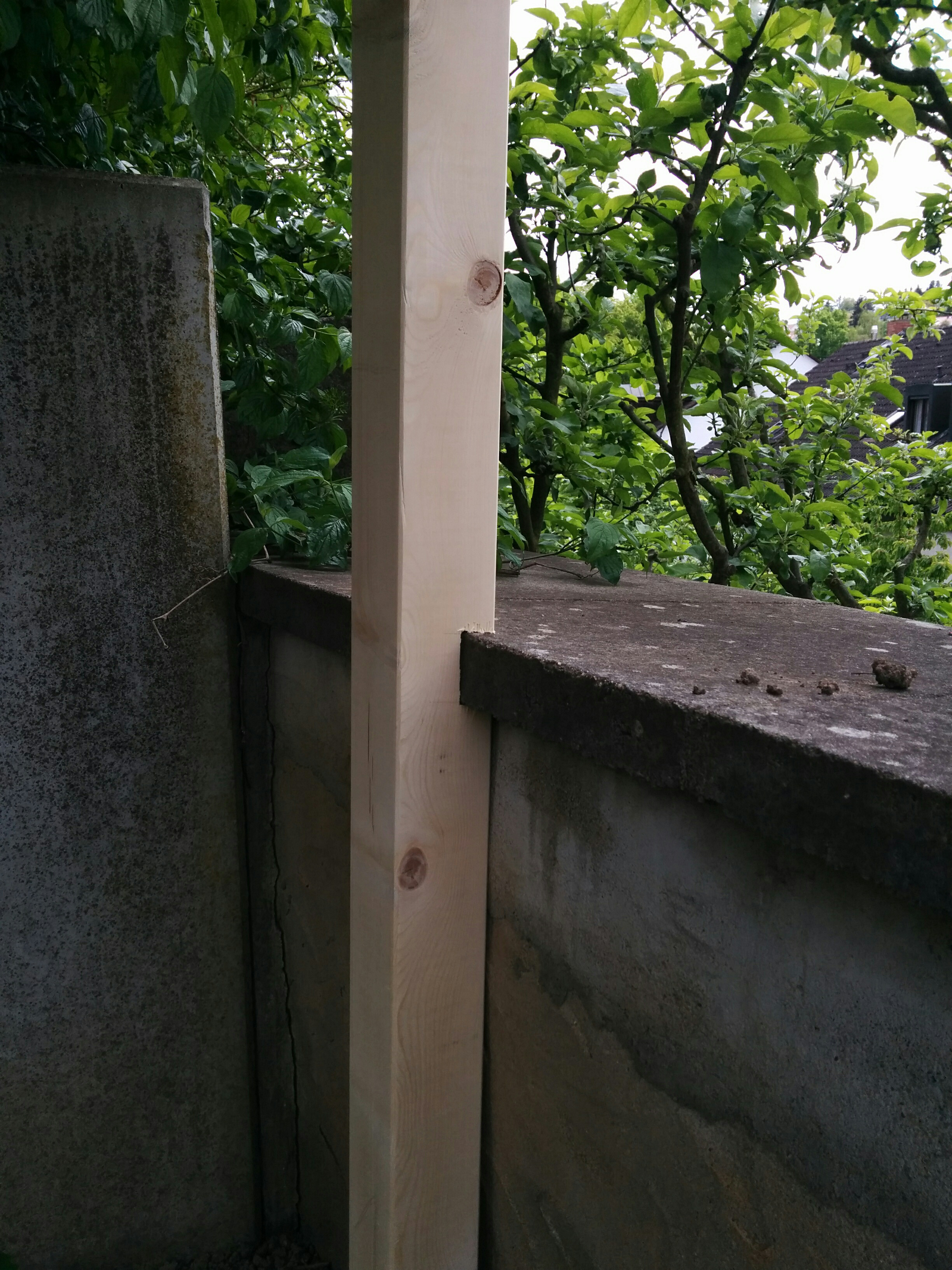 20160511 Gartenzaun 013